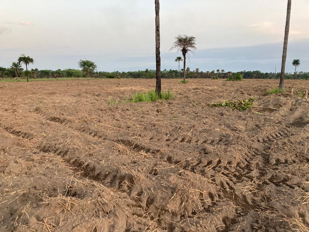 Landwirtschaftsprojekt: Hoffnung und Arbeit für Sierra Leone